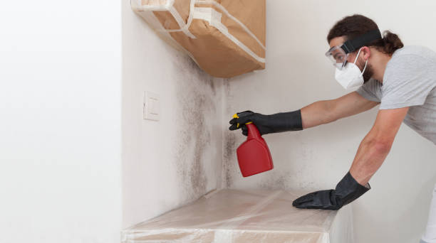 Professional Bathroom Mold Removal technician working in Bloomington, MN